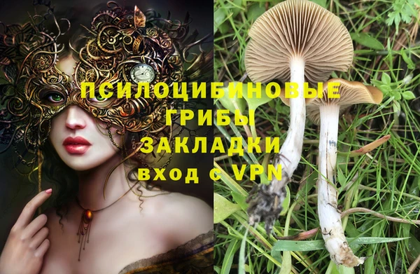 круглые Алексин