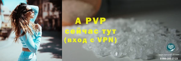 винт Алзамай
