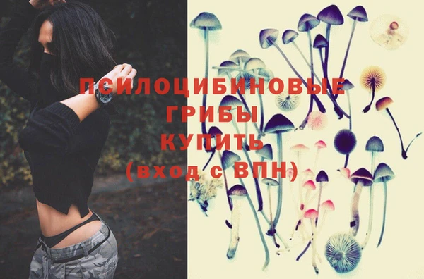 круглые Алексин