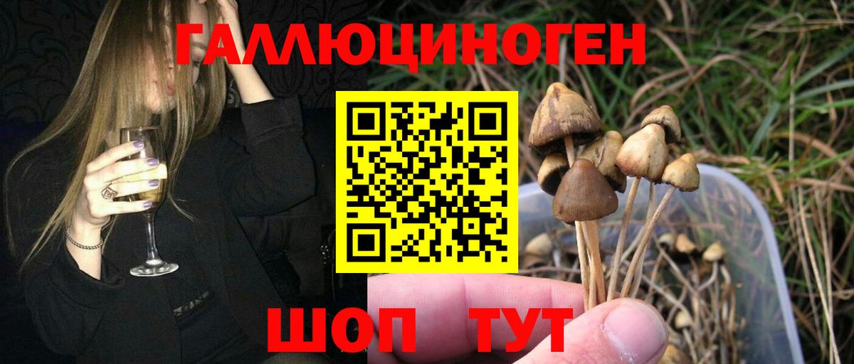 Галлюциногенные грибы Psilocybe  Вход с VPN  Углич 