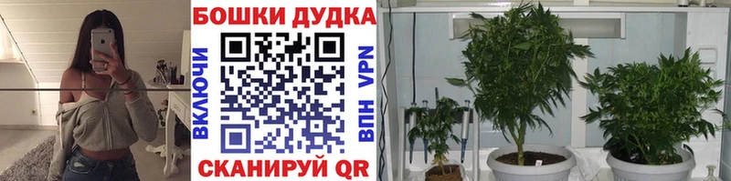 Бошки марихуана MAZAR  Углич 